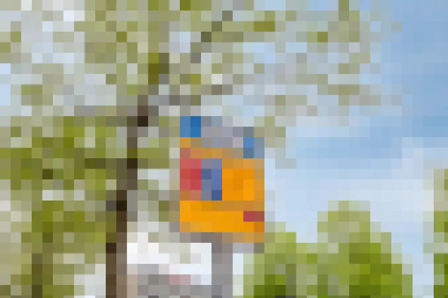 Cronesteinstraat 31 Rotterdam thumbnail 38
