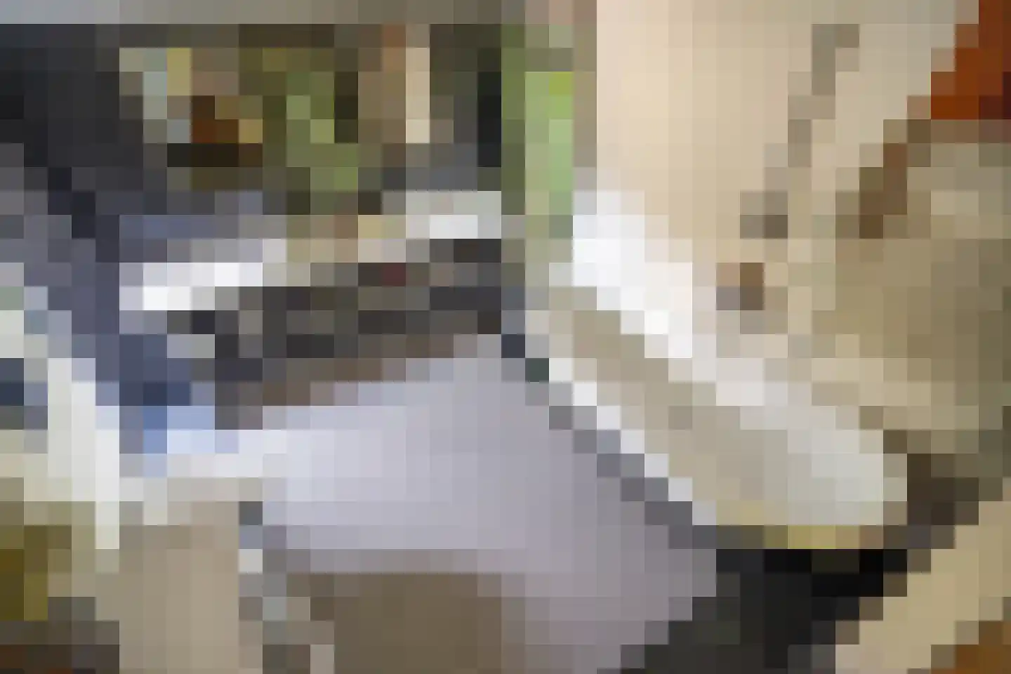 Cronesteyn 2 Leiden thumbnail 21