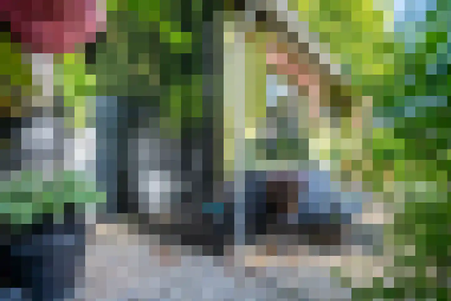 Cronesteyn 2 Leiden thumbnail 30