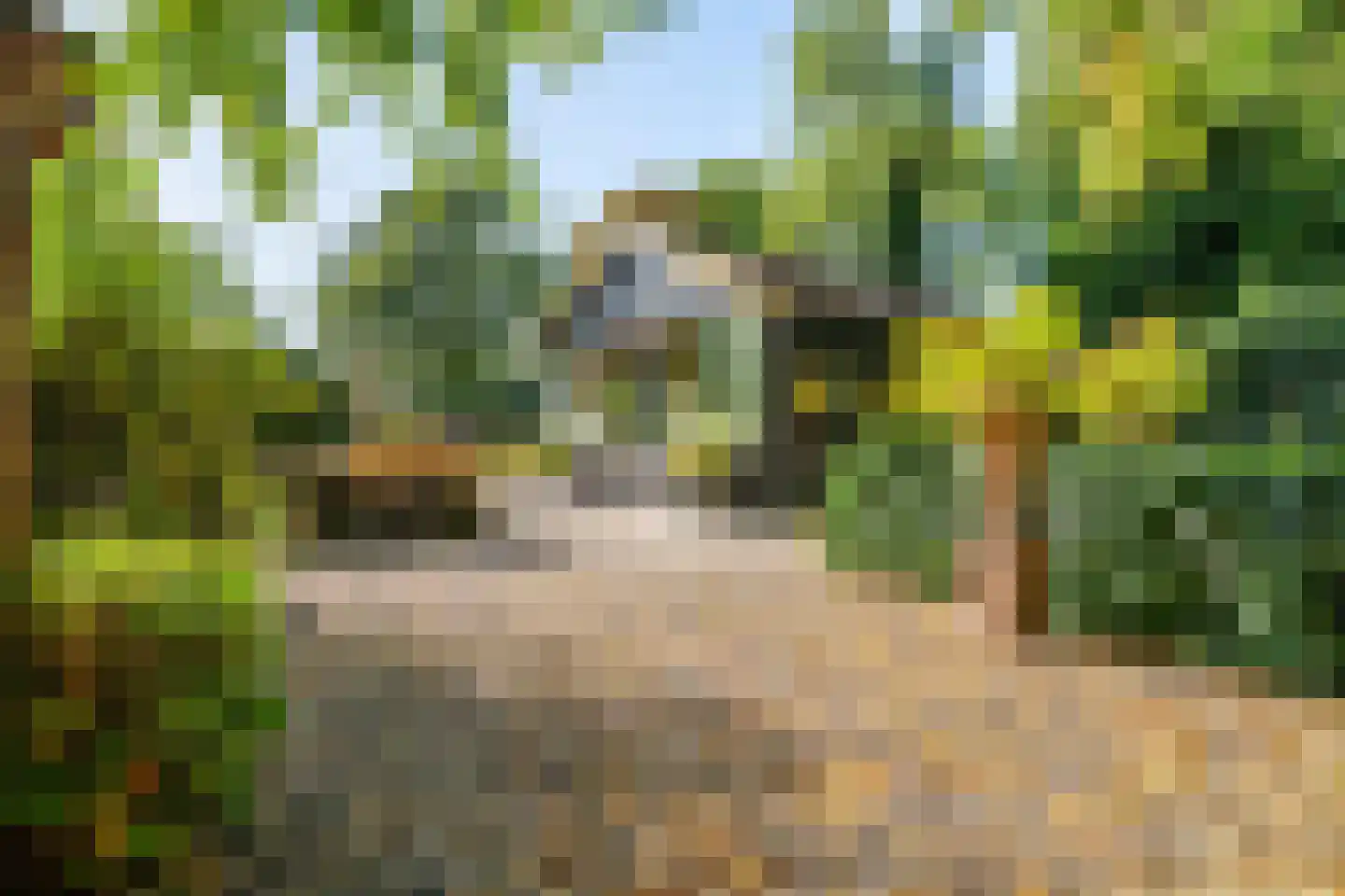 Cronesteyn 2 Leiden thumbnail 37