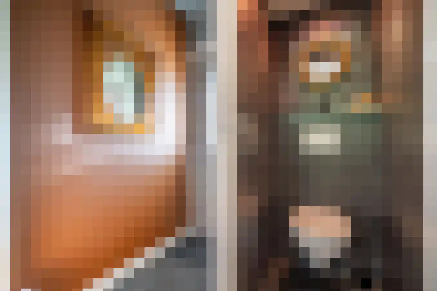 Cronesteyn 2 Leiden thumbnail 43