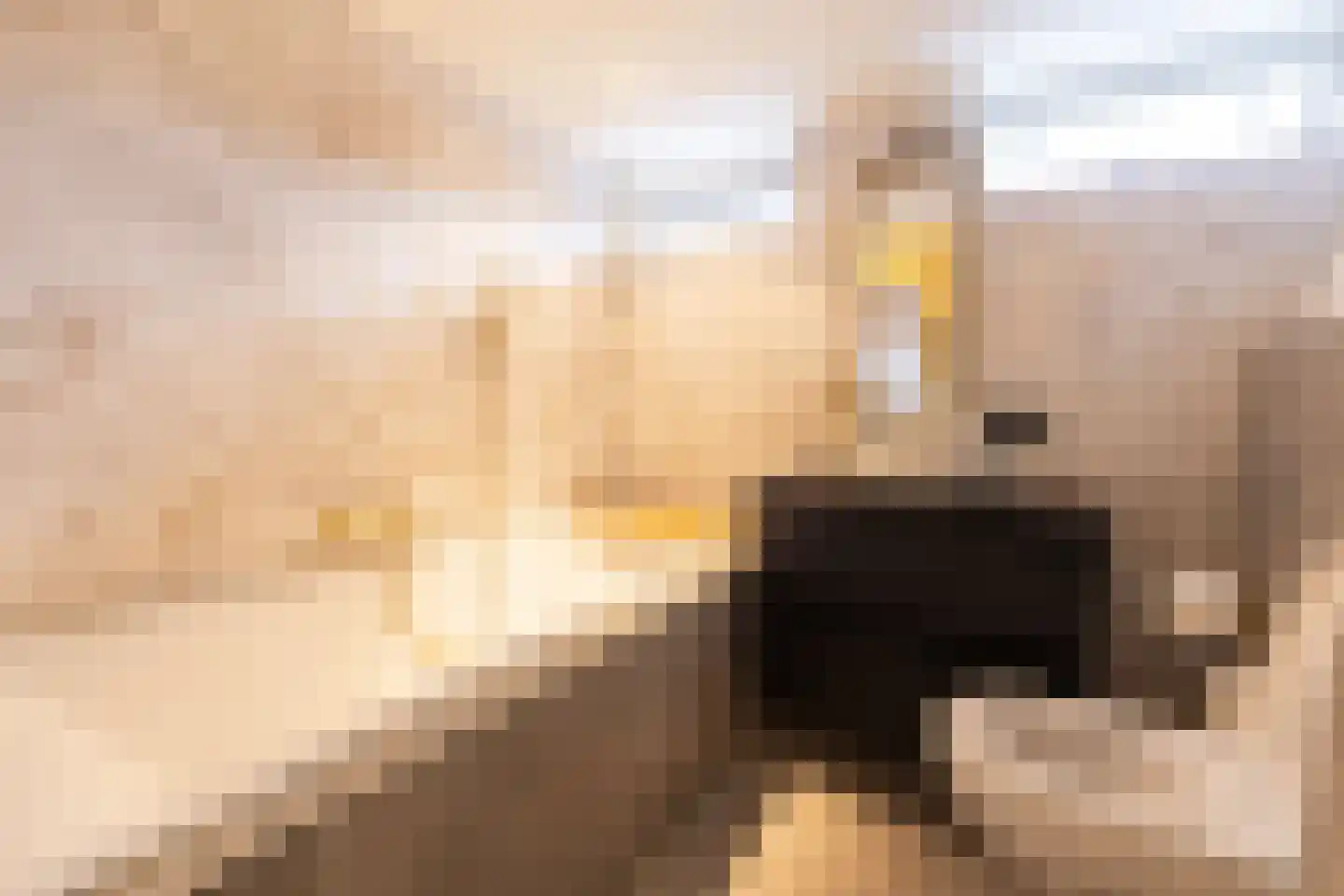 Cronjélaan 17 Zeist thumbnail 23