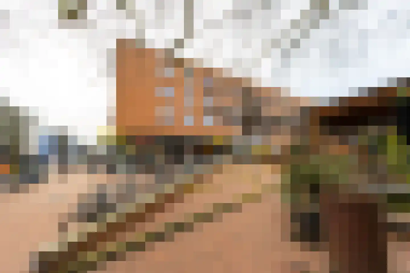 Cronjélaan 17 Zeist thumbnail 25