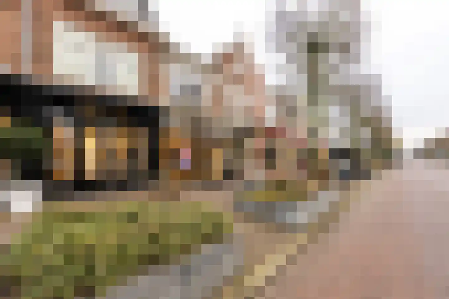 Cronjélaan 17 Zeist thumbnail 4