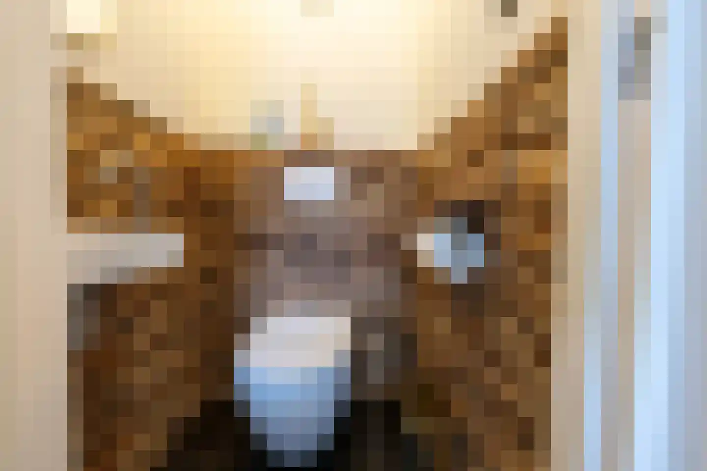 Cronjélaan 17 Zeist thumbnail 7