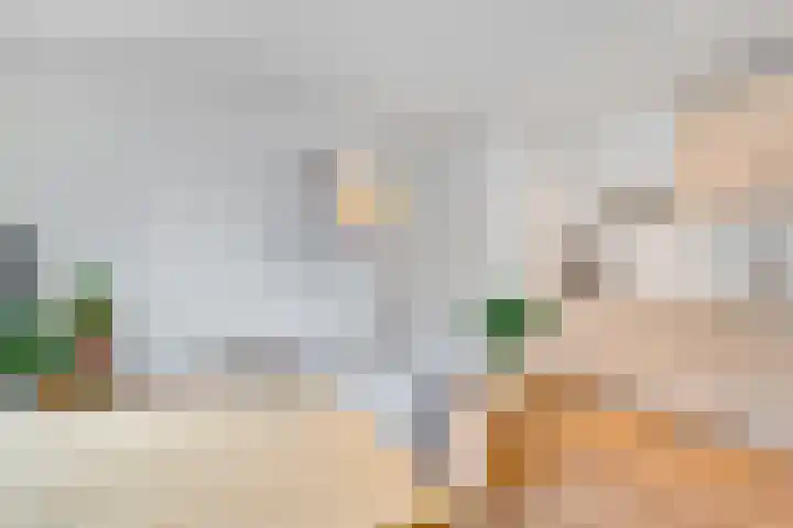 Cronjélaan 90 Zeist thumbnail 12