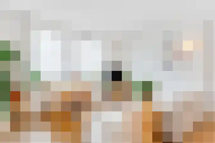 Cronjélaan 90 Zeist thumbnail 13