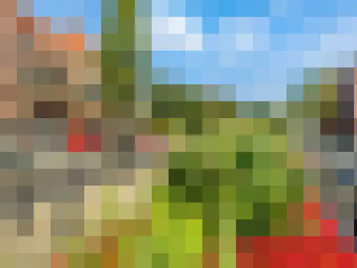 Cronjélaan 90 Zeist thumbnail 22
