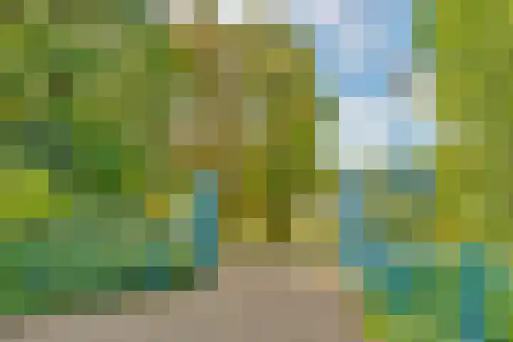 Cronjélaan 90 Zeist thumbnail 24