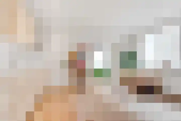 Cronjélaan 90 Zeist thumbnail 6