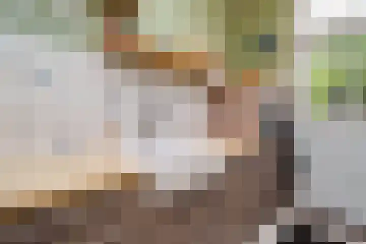 Cronjéplein 8 Ridderkerk thumbnail 15