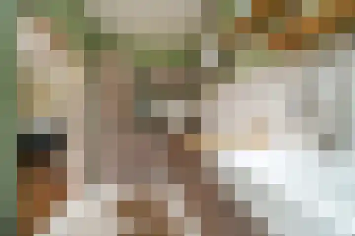 Cronjéplein 8 Ridderkerk thumbnail 16