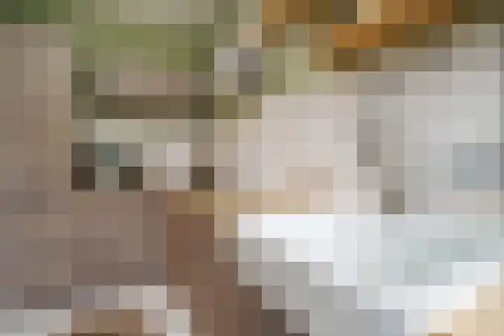 Cronjéplein 8 Ridderkerk thumbnail 17