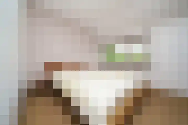 Cronjéplein 8 Ridderkerk thumbnail 20