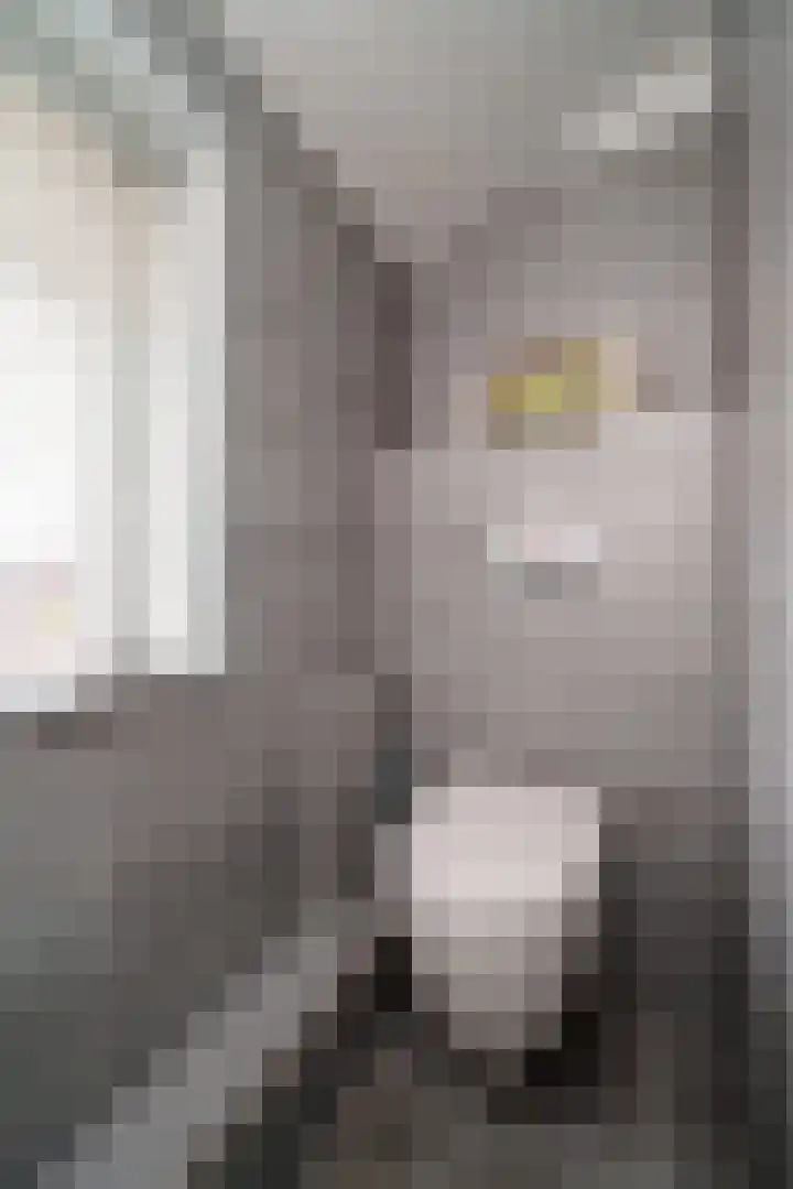 Cronjéplein 8 Ridderkerk thumbnail 24