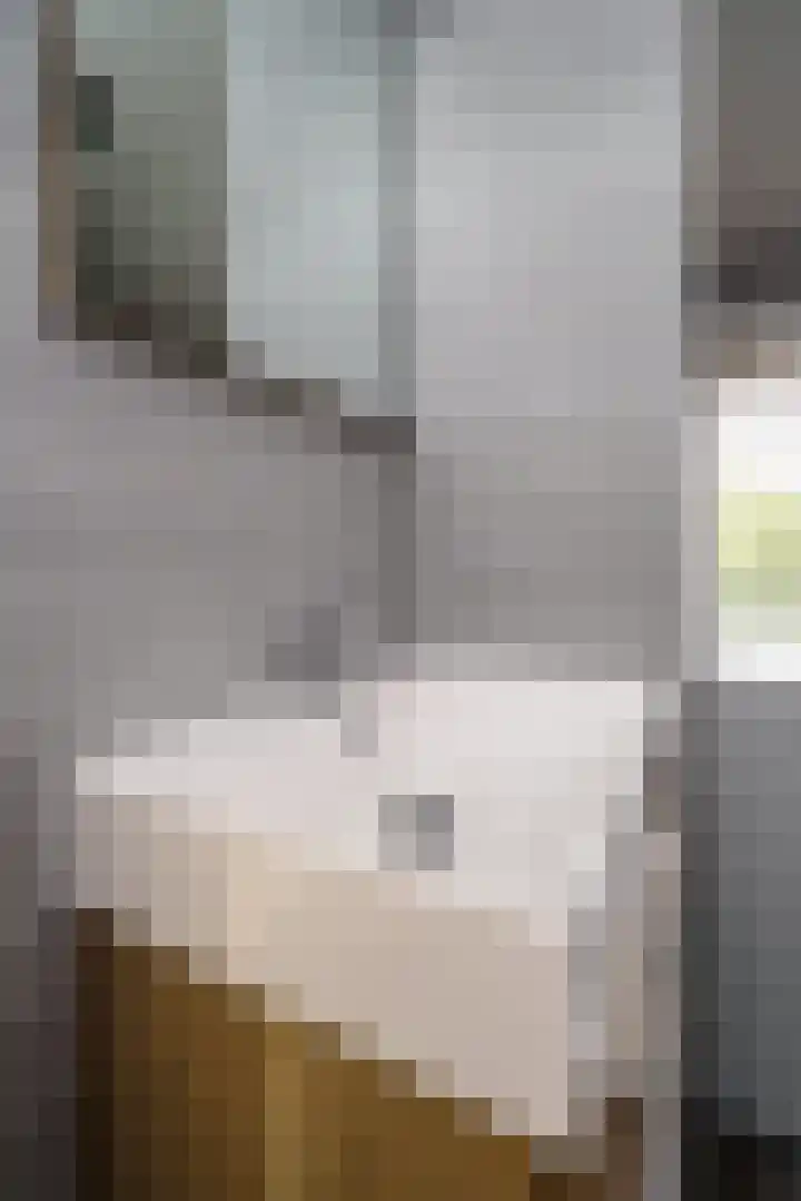 Cronjéplein 8 Ridderkerk thumbnail 25