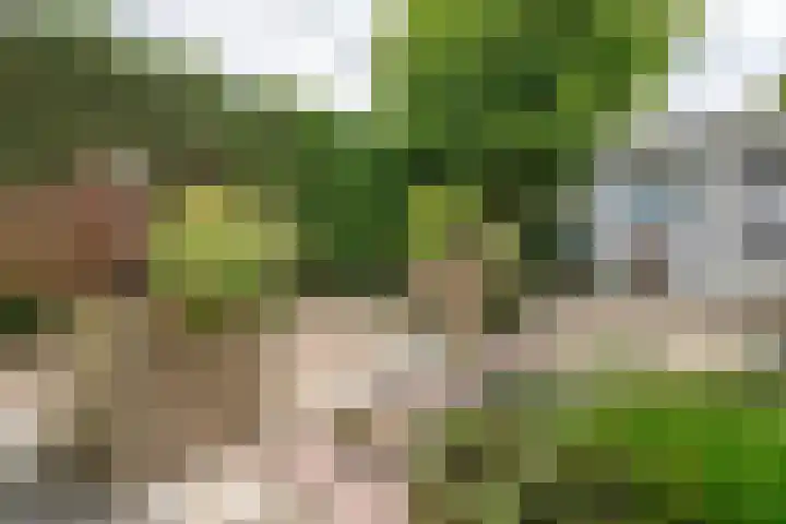 Cronjéplein 8 Ridderkerk thumbnail 28