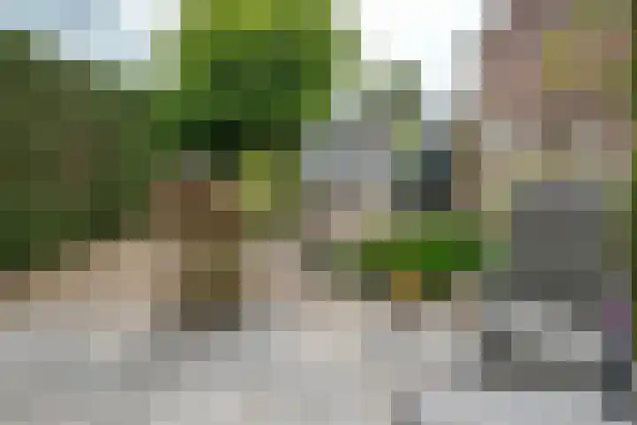 Cronjéplein 8 Ridderkerk thumbnail 29