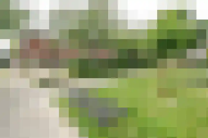 Cronjéplein 8 Ridderkerk thumbnail 31