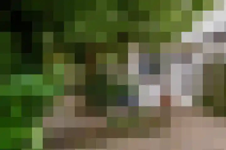 Cronjéplein 8 Ridderkerk thumbnail 33