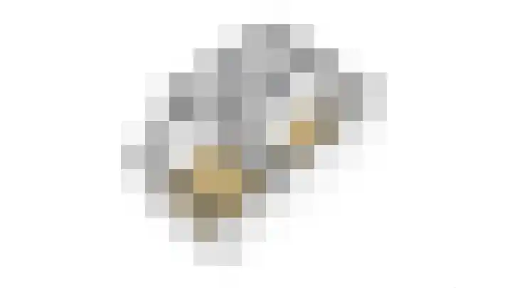 Cronjéplein 8 Ridderkerk thumbnail 38