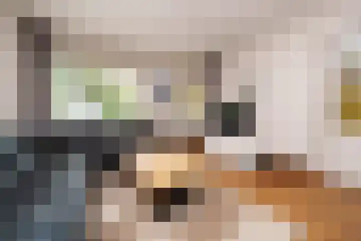 Cronjéplein 8 Ridderkerk thumbnail 5