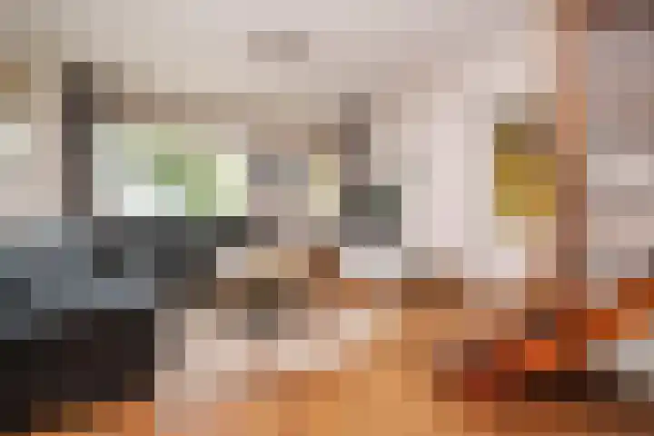 Cronjéplein 8 Ridderkerk thumbnail 6