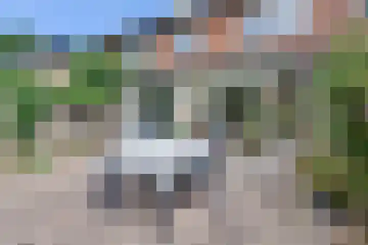Cronjéstraat 115 Ermelo thumbnail 37