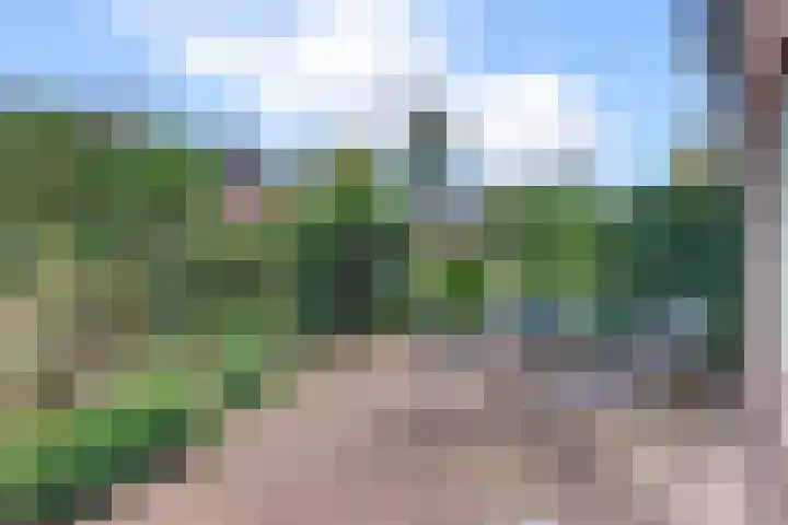Cronjéstraat 115 Ermelo thumbnail 39