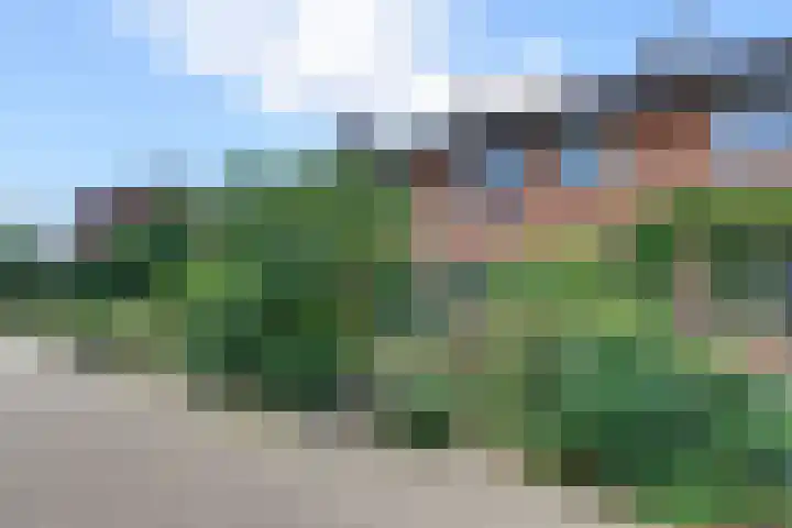 Cronjéstraat 115 Ermelo thumbnail 41