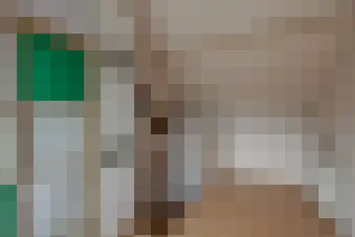 Cronjéstraat 121 Ermelo thumbnail 30