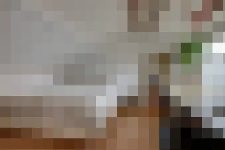 Cronjéstraat 121 Ermelo thumbnail 32
