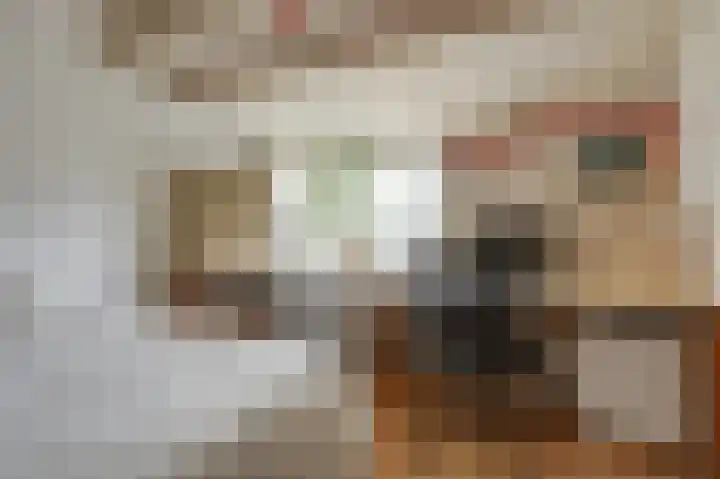 Cronjéstraat 121 Ermelo thumbnail 33