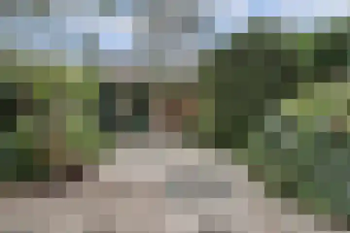 Cronjéstraat 121 Ermelo thumbnail 34