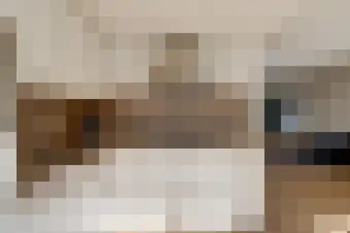 Cronjéstraat 19 Ermelo thumbnail 10