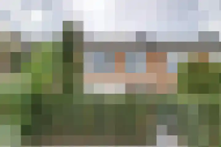 Cronjéstraat 19 Ermelo thumbnail 38