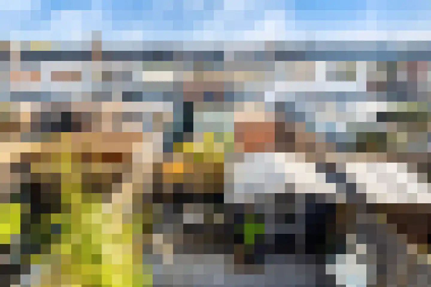 Cronjéstraat 20 Dordrecht thumbnail 47