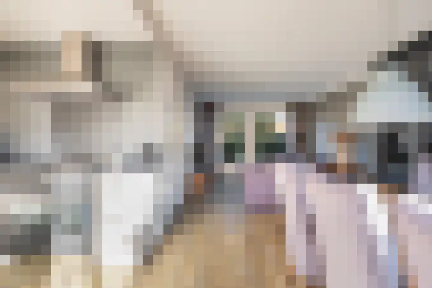 Cronjéstraat 21 Ermelo thumbnail 14