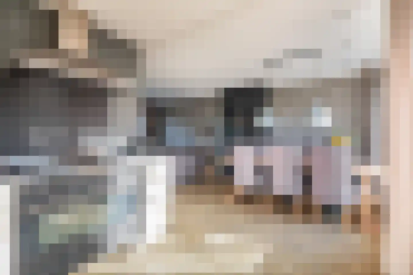Cronjéstraat 21 Ermelo thumbnail 15