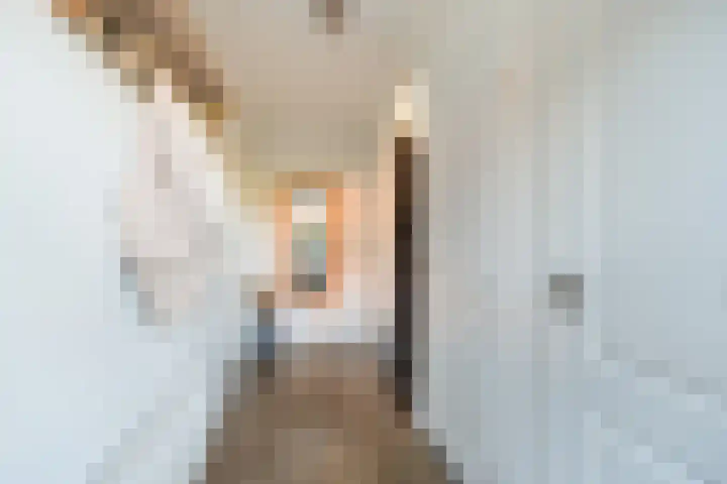 Cronjéstraat 21 Ermelo thumbnail 16