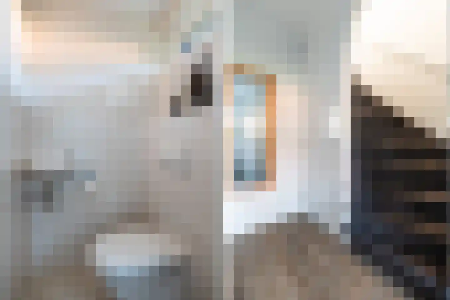 Cronjéstraat 21 Ermelo thumbnail 17
