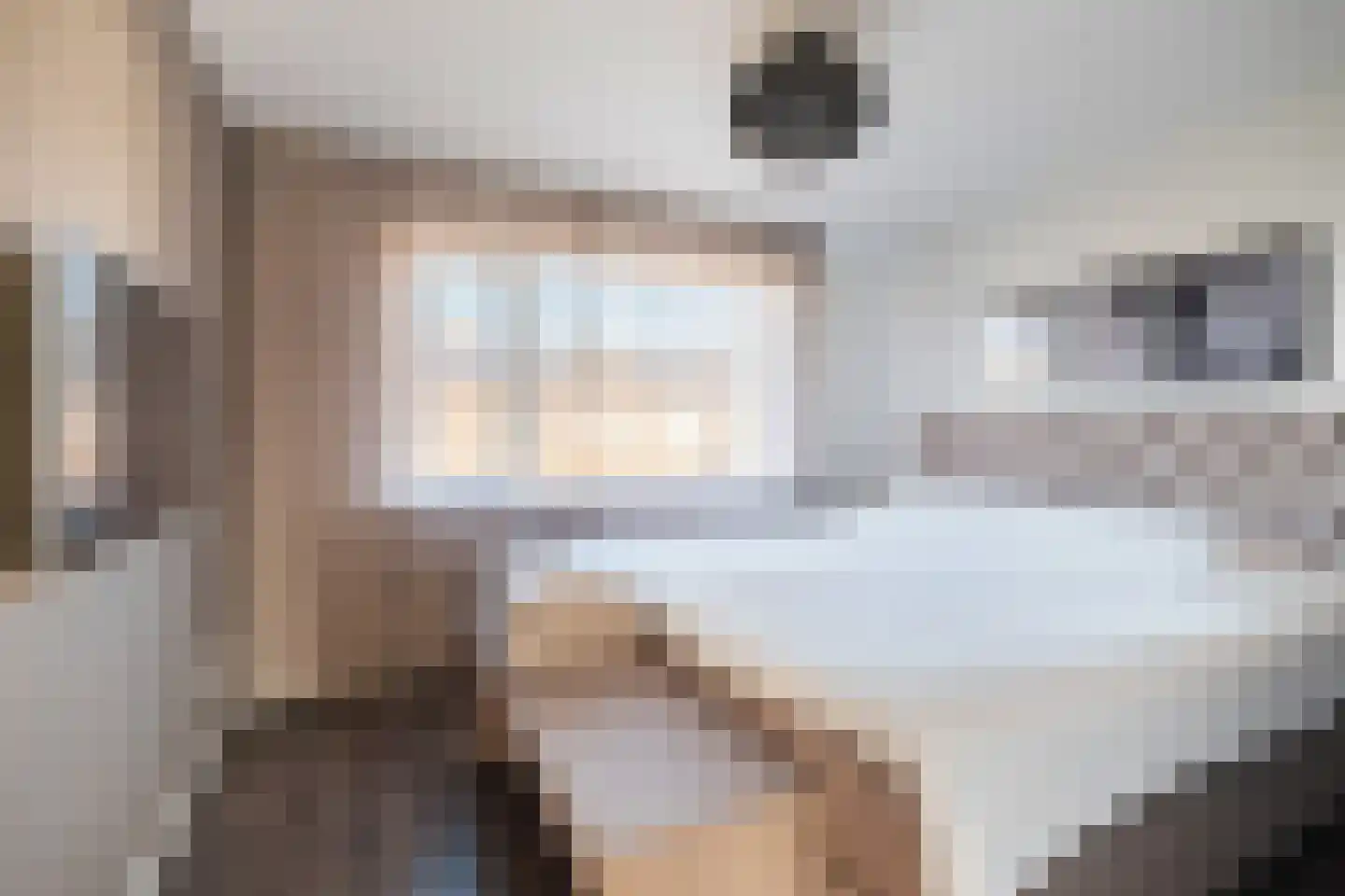 Cronjéstraat 21 Ermelo thumbnail 18