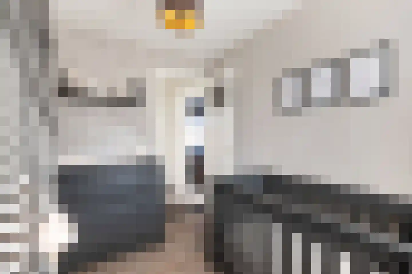 Cronjéstraat 21 Ermelo thumbnail 23