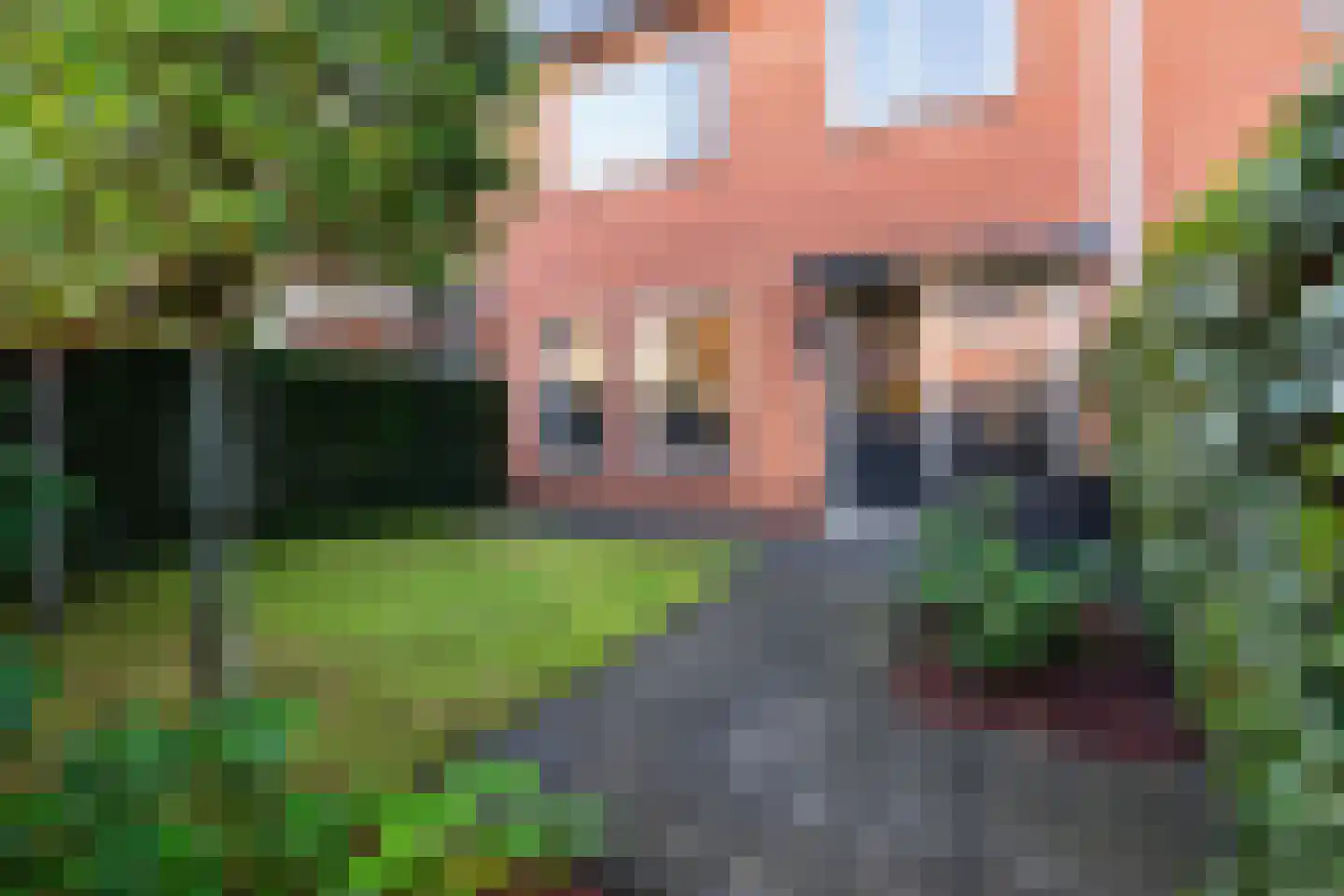 Cronjéstraat 21 Ermelo thumbnail 32