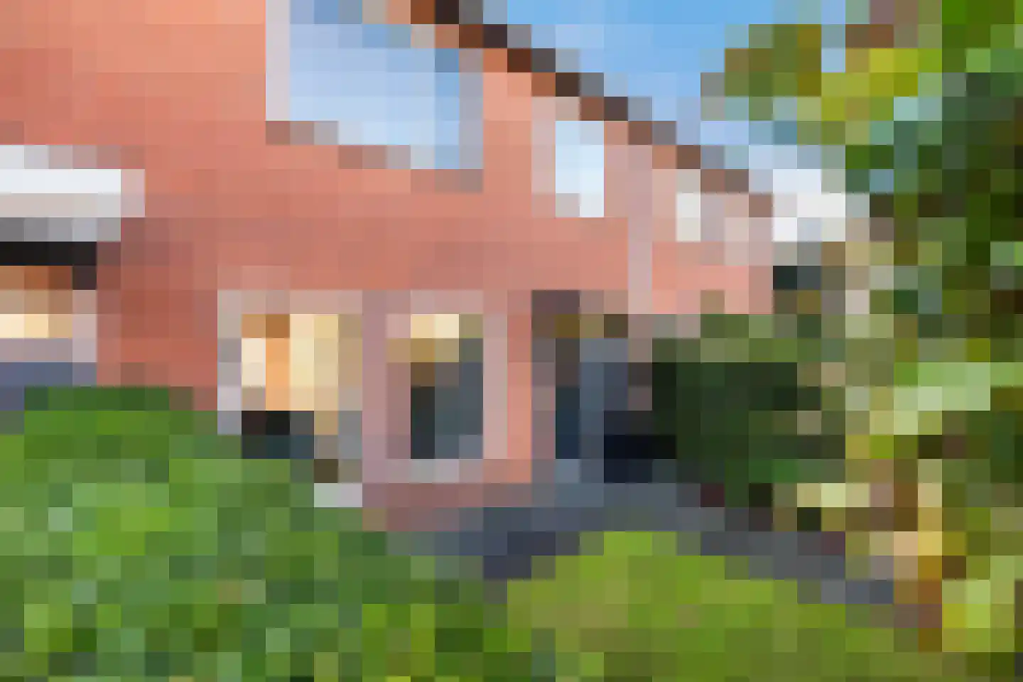 Cronjéstraat 21 Ermelo thumbnail 33