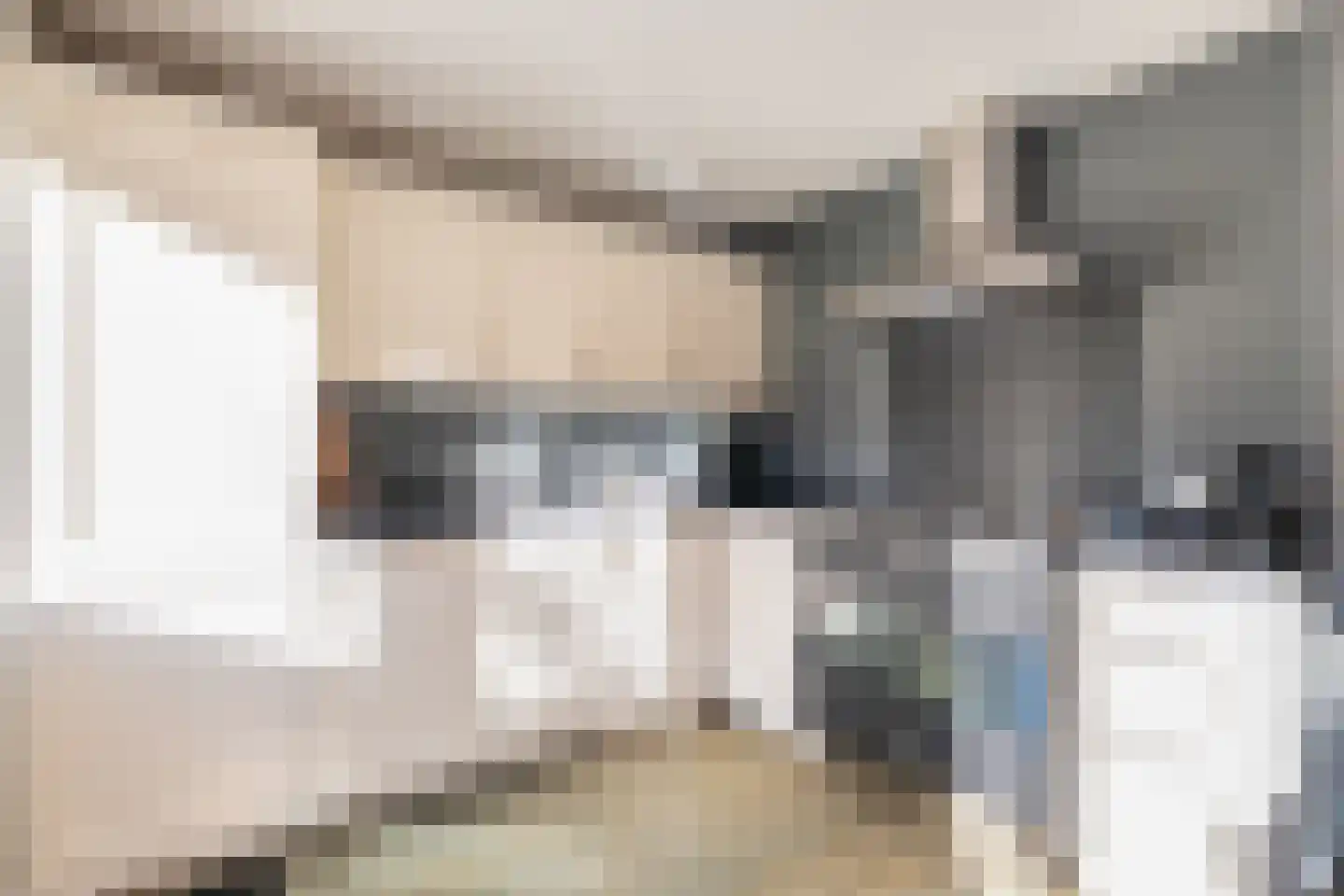 Cronjéstraat 21 Ermelo thumbnail 8