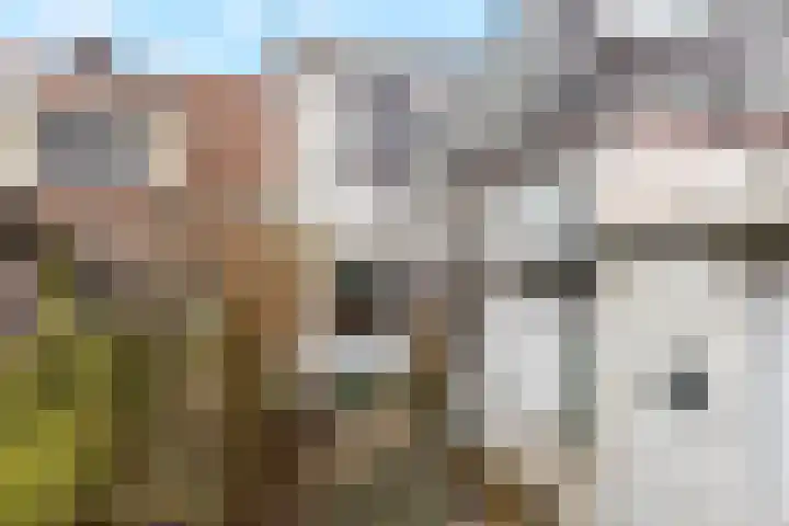 Cronjéstraat 22 Den Helder thumbnail 10