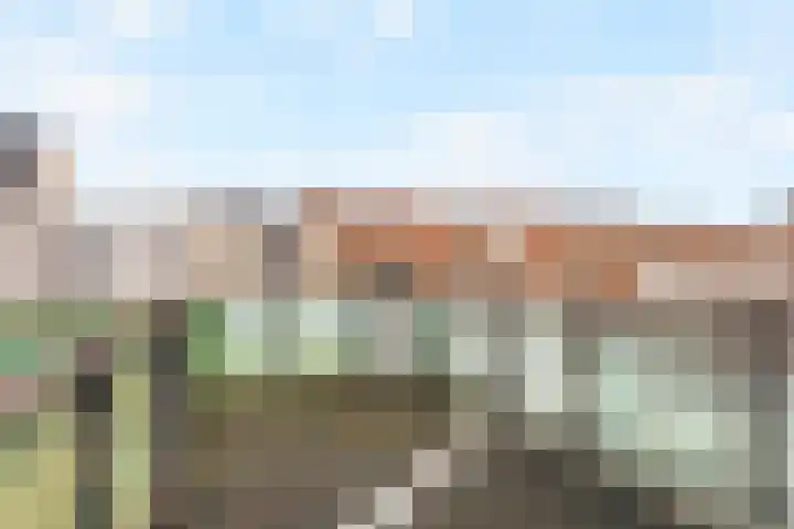 Cronjéstraat 22 Den Helder thumbnail 4