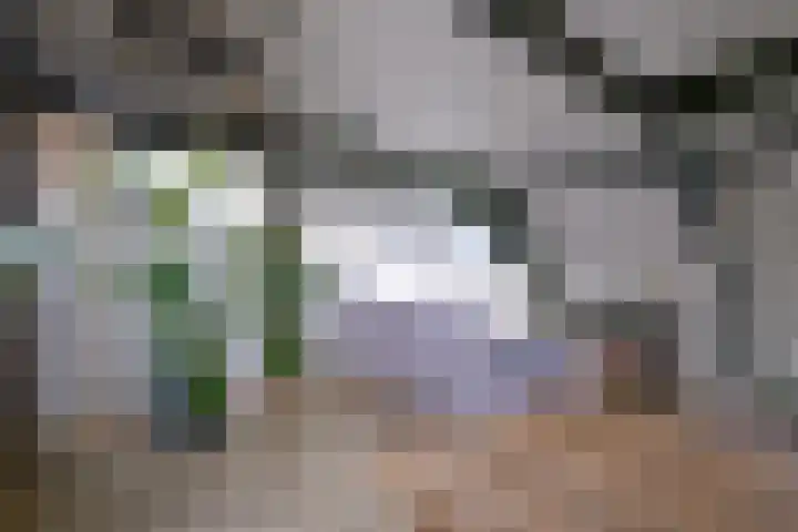 Cronjéstraat 22 Den Helder thumbnail 9