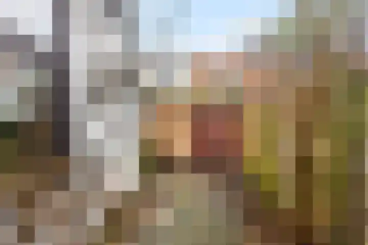 Cronjéstraat 22 Den Helder thumbnail 9